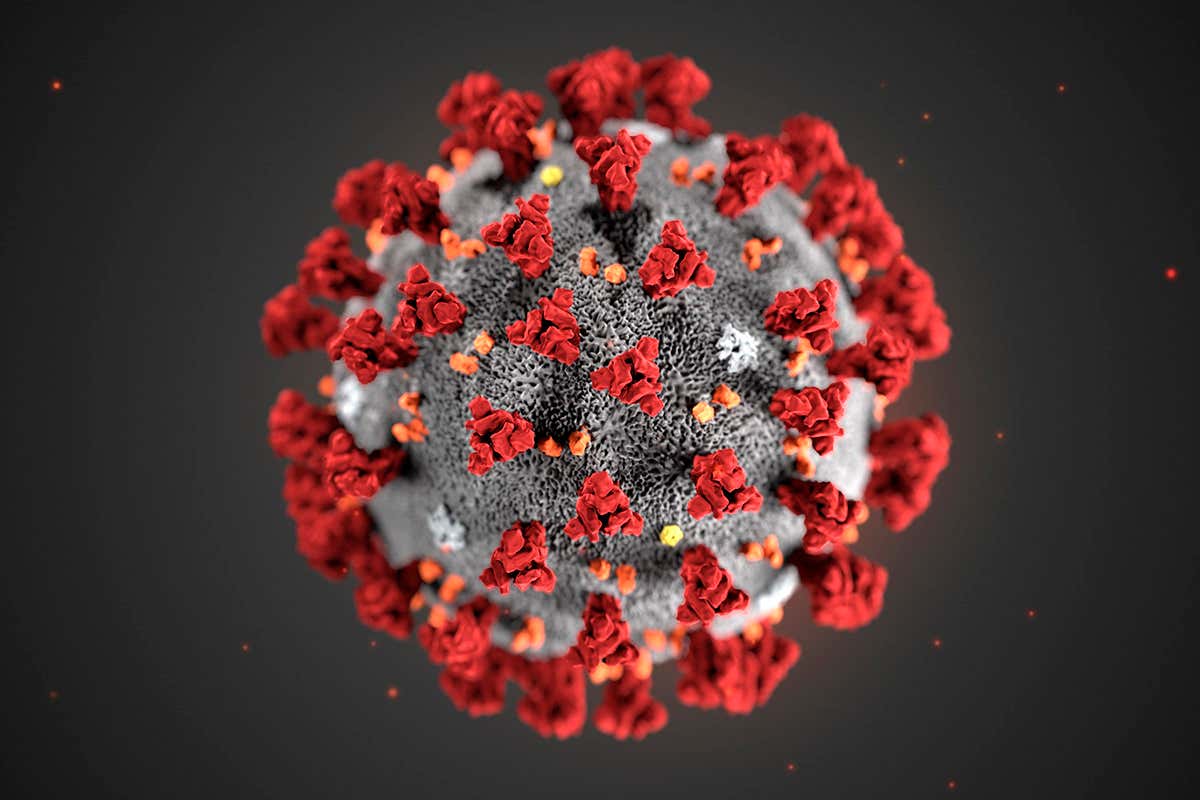 Rischio Biologico da Covid-19