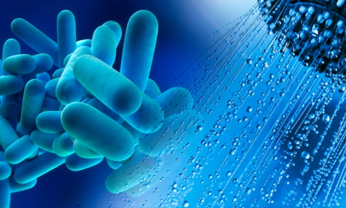 Legionella con soffione della doccia.